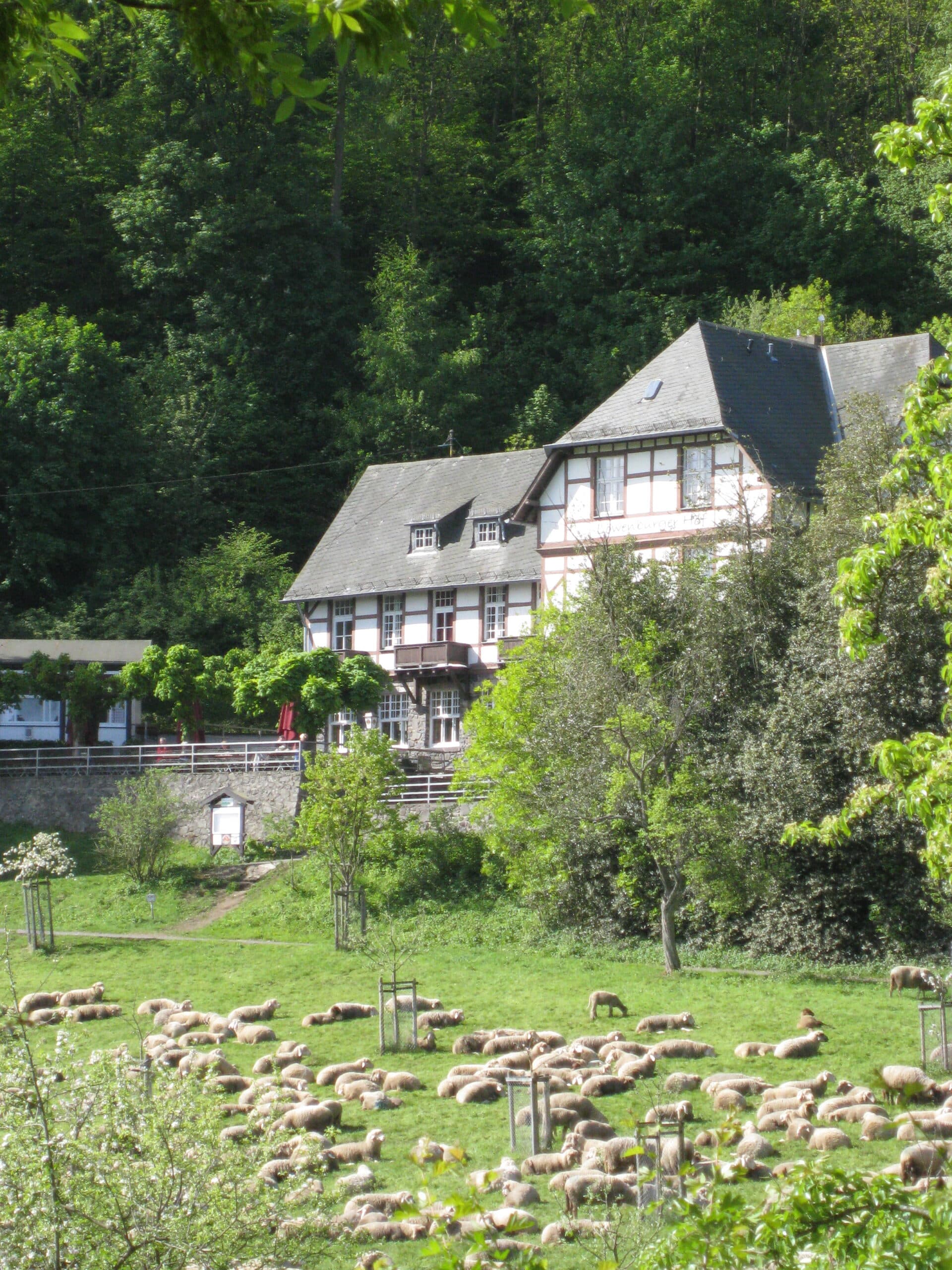 Löwenburger Hof im Siebengebirge